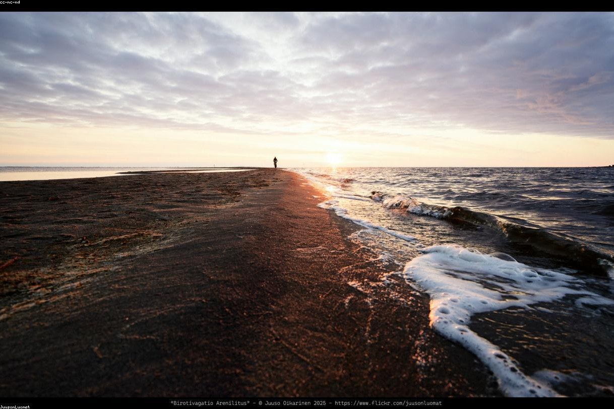 حصة ركوب الأمواج 4