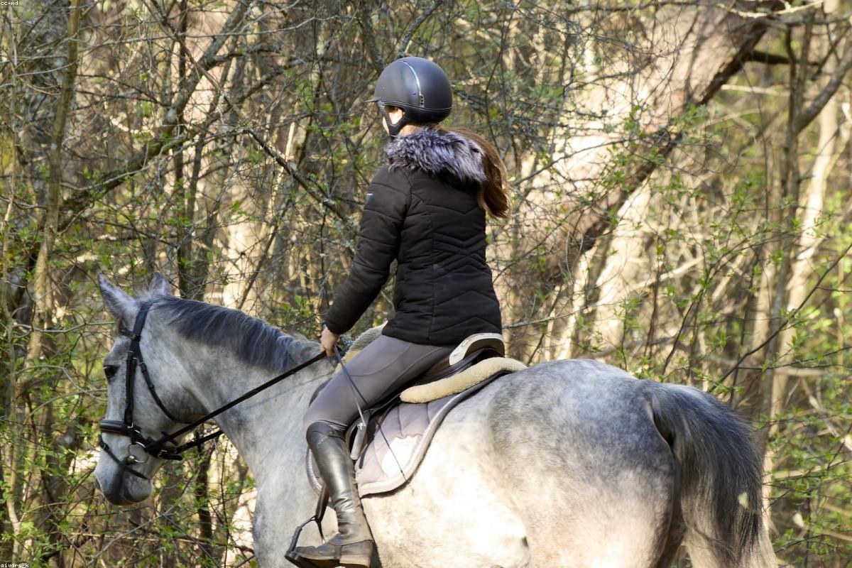 Horse ride — Taghazout 4