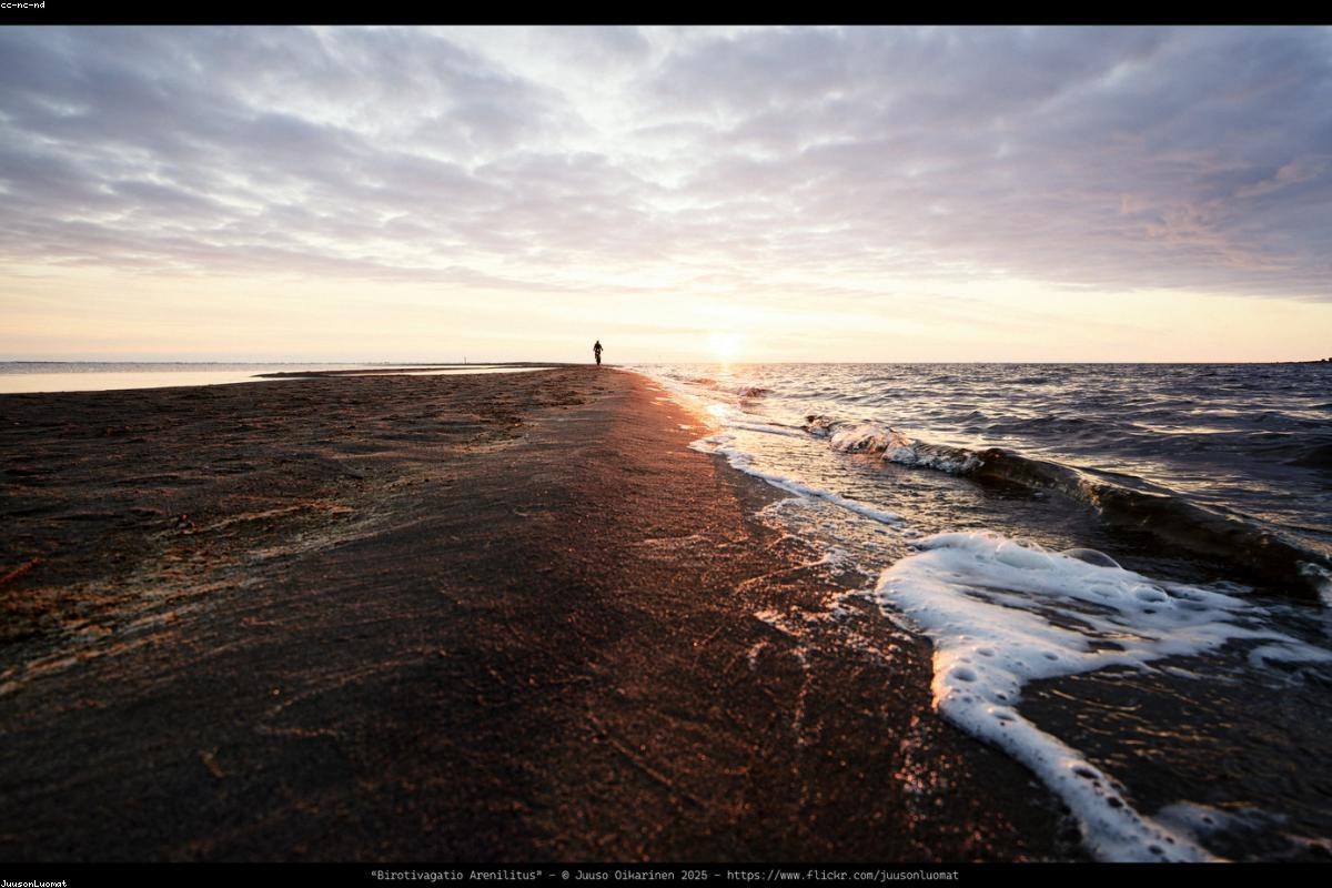Session surf & kitesurf — Plage d’Essaouira 3