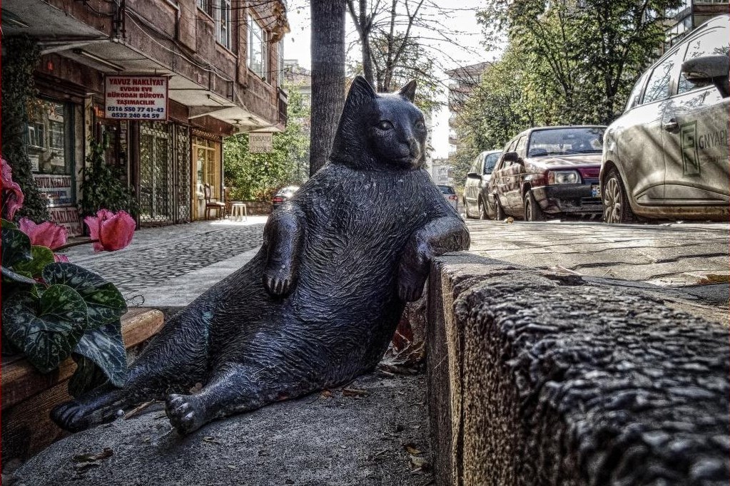 Trek guidé — Atlas - Imlil