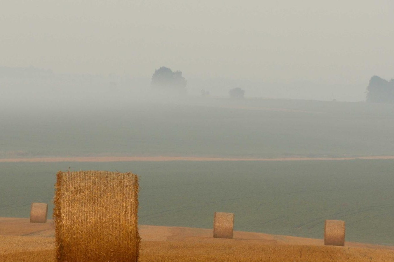 Fès
